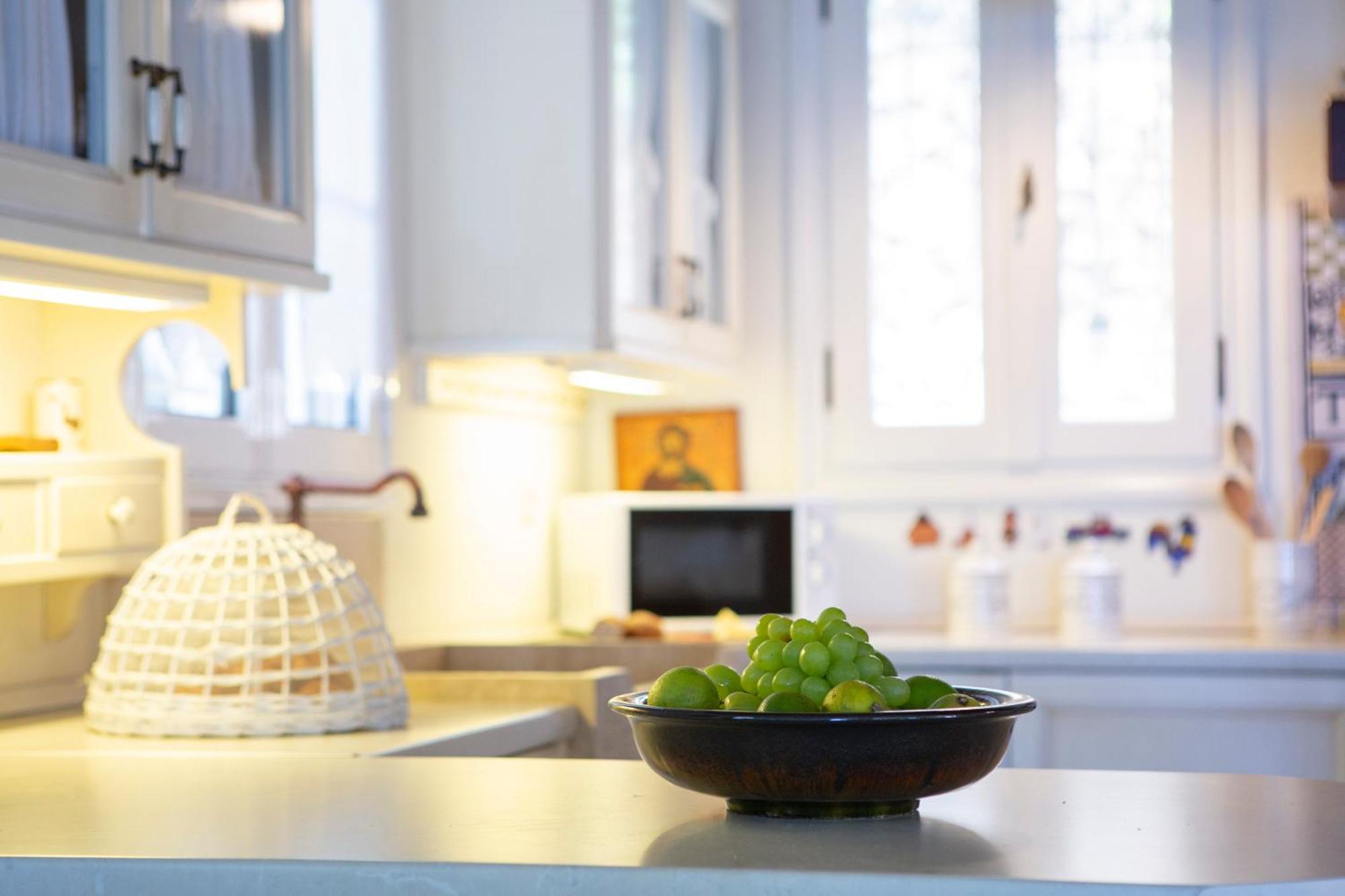 Boutique Villa Andronice Tsoukaladhes Ngoại thất bức ảnh